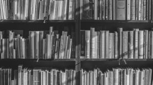 bookcase full of books